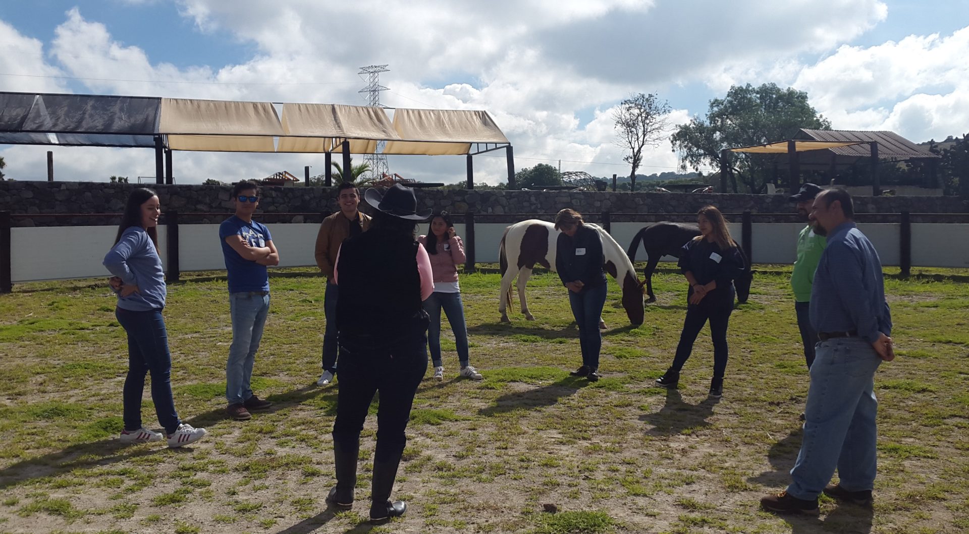 Coaching Asitido Con Caballos Exp Dinamica